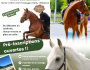 🐴✨ Les pré-inscriptions 2026/2027 sont ouvertes !