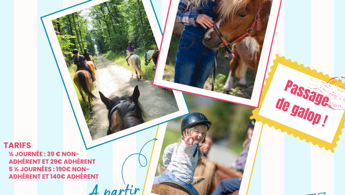 ☀️🐴 Les stages d&rsquo;été sont de retour au Centre Équestre de Blois ! 🐴☀️