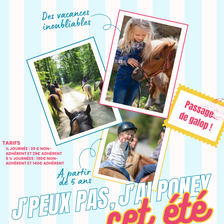 ☀️🐴 Les stages d&rsquo;été sont de retour au Centre Équestre de Blois ! 🐴☀️