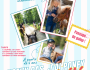 ☀️🐴 Les stages d&rsquo;été sont de retour au Centre Équestre de Blois ! 🐴☀️