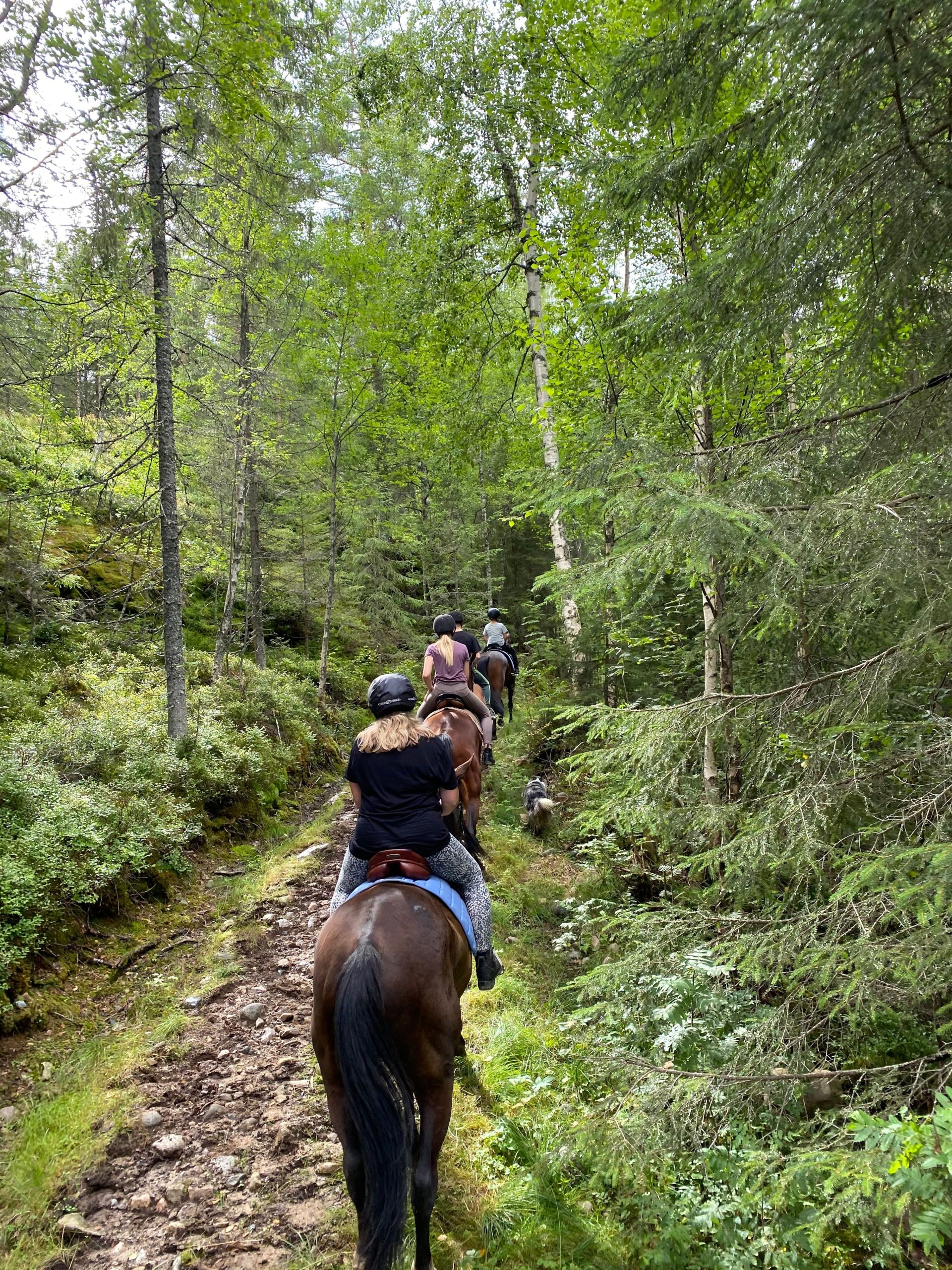 Balade à cheval
